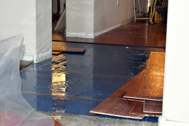 Professional Sewage Cleanup technician working in Tad, WV